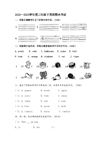 辽宁省盘锦市盘山县2022-2023学年三年级下学期7月期末英语试题