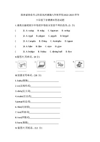 陕西省商洛市山阳县色河铺镇九年制学校2022-2023学年六年级下学期期末英语试题