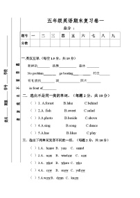 期末复习卷（试题）人教PEP版英语五年级上册