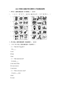 浙江省温州市乐清市2022-2023学年六年级下学期期末英语试卷