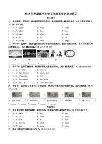 2022-2023学年河南省南阳市内乡县北师大版（三起）五年级下册期中质量检测英语试卷