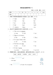 期末综合素质评价（试题）人教PEP版英语四年级下册