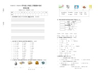 期末（试题）人教PEP版英语三年级上册