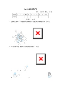 人教版PEP英语三上 Unit 3 综合素质评价（含听力+答案）