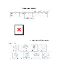 人教版PEP英语三上 期末综合素质评价(一)（含听力+答案）