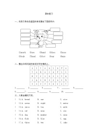 期末（试题）人教PEP版英语三年级上册