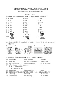 期末（试题）译林版（三起）英语六年级上册