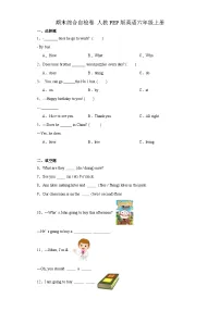 期末（试题）人教PEP版英语六年级上册
