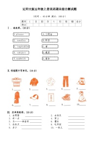 期末（试题）辽师大版（三起）英语五年级上册