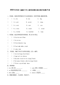 期末综合提升检测卷（试题）外研版（三起）英语六年级上册