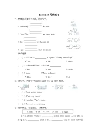 人教精通版四年级下册Lesson 35同步练习题