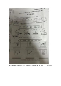 陕西省宝鸡市金台区五里庙小学2023-2024学年四年级上学期期末英语试题