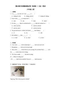 期末教学质量检测试卷（试题）译林版（三起）英语六年级上册