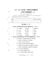 河南省濮阳市华龙区2023-2024学年六年级上学期期末英语试题