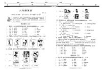 山东省潍坊市2023-2024学年六年级上学期1月期末英语试题