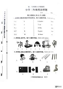 山东省泰安市泰山区省庄镇指挥小学2023-2024学年三年级上学期1月期末英语试题