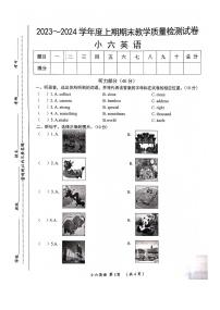 河南省漯河市郾城区2023-2024学年六年级上学期1月期末英语试题