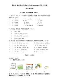 河南省濮阳市南乐县2023-2024学年五年级上学期1月期末英语试题