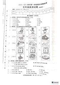 河北省邢台市任泽区2023-2024学年五年级上学期1月期末英语试题