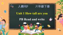 英语Unit 1 How tall are you? Part B教案配套课件ppt