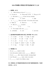 2024年寒假小学英语开学考试卷E(PEP六上)