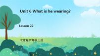 小学英语北京版六年级上册Lesson 22教学课件ppt