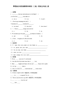 寒假综合培优检测（试题）-2023-2024学年译林版（三起）英语五年级上册