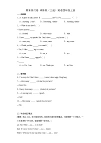 期末练习（试题）-2023-2024学年译林版（三起）英语四年级上册