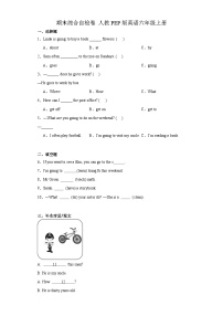 期末综合自检（试题）-2023-2024学年人教PEP版英语六年级上册