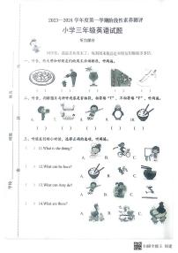 17，山东省潍坊市潍城区2023-2024学年三年级上学期期中英语试题