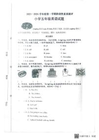 18，山东省潍坊市潍城区2023-2024学年五年级上学期期中英语试题(1)