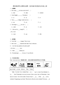 期末高频考点模拟（试题）-2023-2024学年人教PEP版英语五年级上册