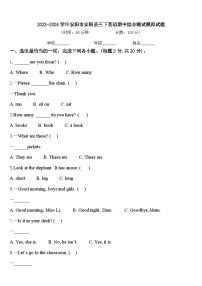 +期中（试题）-2023-2024学年人教PEP版英语三年级下册.2