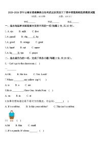 2023-2024学年云南省楚雄彝族自治州武定县英语三下期中质量跟踪监视模拟试题含答案