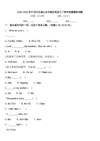 2023-2024学年四川省眉山市丹棱县英语三下期中检测模拟试题含答案