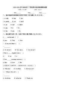 2023-2024学年宜丰县三下英语期中综合测试模拟试题含答案