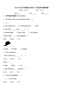 2023-2024学年咸阳市礼泉县三下英语期中监测试题含答案