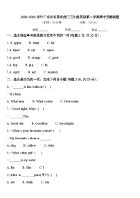 2023-2024学年广东省东莞市虎门三年级英语第二学期期中预测试题含答案