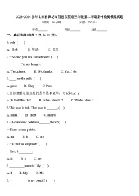 2023-2024学年山东省潍坊市昌邑市英语三年级第二学期期中检测模拟试题含答案