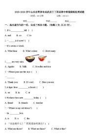 2023-2024学年山东省菏泽市成武县三下英语期中质量跟踪监视试题含答案