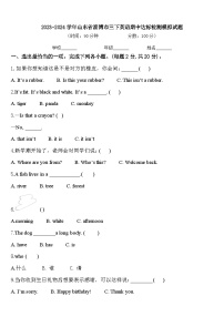 2023-2024学年山东省淄博市三下英语期中达标检测模拟试题含答案