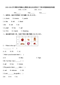 2023-2024学年朝阳市喀喇沁左翼蒙古族自治县英语三下期中质量跟踪监视试题含答案