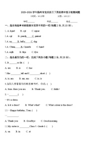 2023-2024学年扬州市宝应县三下英语期中复习检测试题含答案