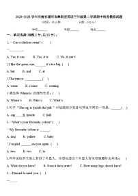 2023-2024学年河南省漯河市舞阳县英语三年级第二学期期中统考模拟试题含答案