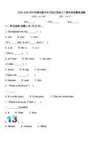 2023-2024学年河南省新乡市卫滨区英语三下期中统考模拟试题含答案