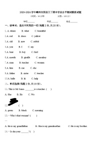 2023-2024学年嵊州市英语三下期中学业水平测试模拟试题含答案