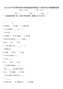 2023-2024学年河南省郑州市中原领航实验学校英语三下期中学业水平测试模拟试题含答案