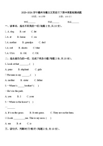 2023-2024学年衢州市衢江区英语三下期中质量检测试题含答案