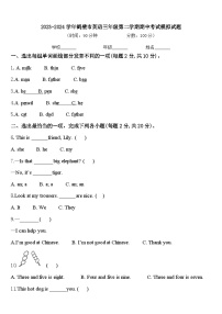 2023-2024学年鹤壁市英语三年级第二学期期中考试模拟试题含答案