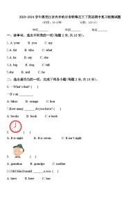 2023-2024学年黑龙江省齐齐哈尔市铁锋区三下英语期中复习检测试题含答案